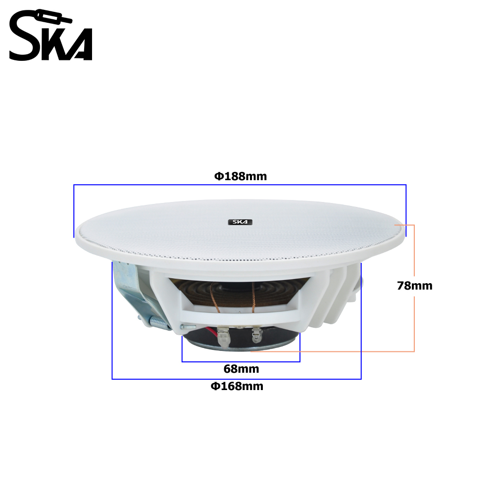 6.5-inch 20W， 8ΩDual cone spea - đánh giá và giá Audio Music Store