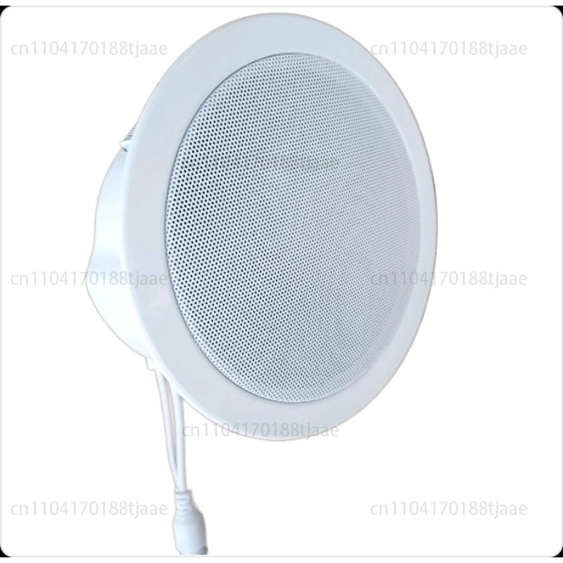 IP Network Speaker, Ceiling Au - đánh giá và giá Audio Music Store